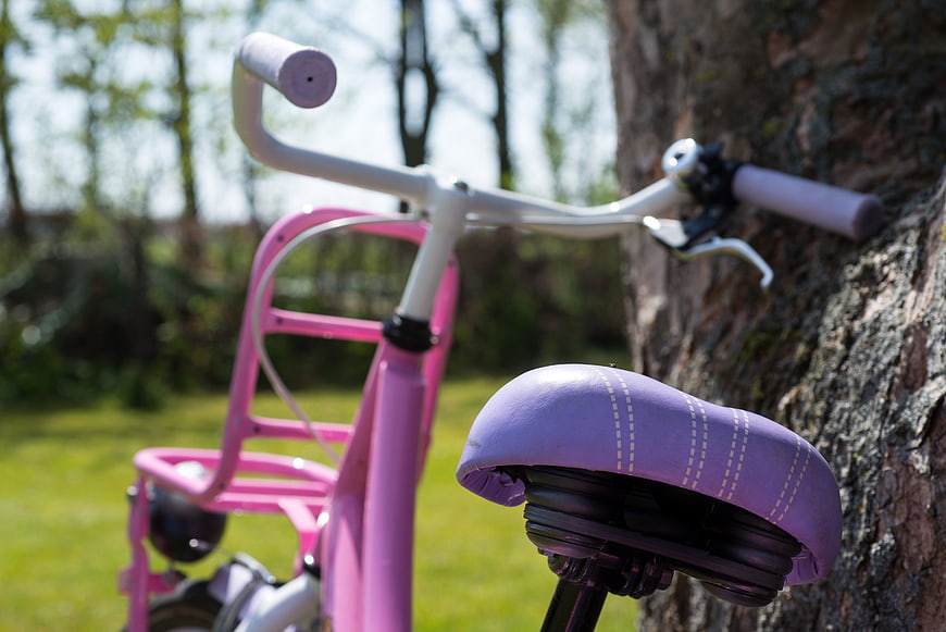 Pink and purple children's bicycle leaning against tree