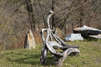 Rustic Driftwood Sculpture Bench in Natural Park Setting