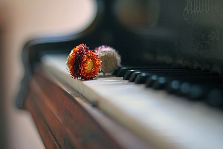 Dried flowers resting on the keys of an antique wooden piano