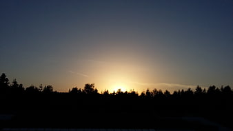 Silhouette of forest trees against a glowing sunset sky