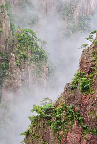 Misty mountain peaks with pine trees in deep valley