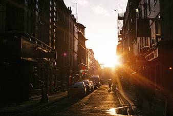 Golden Hour Sunlight on Urban Street with Cars and Puddle