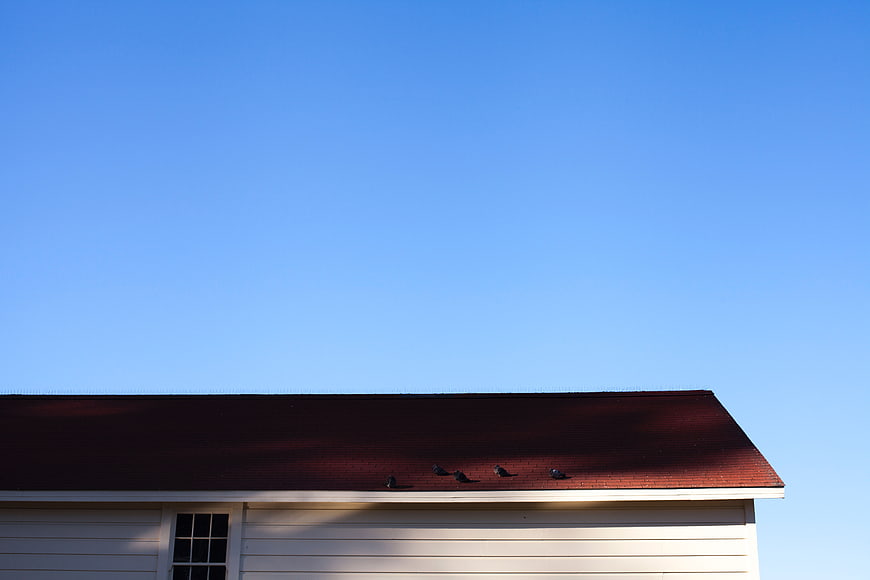 Minimalist house roof with birds against clear blue sky