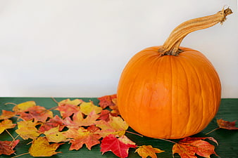 Orange pumpkin with autumn leaves on green surface