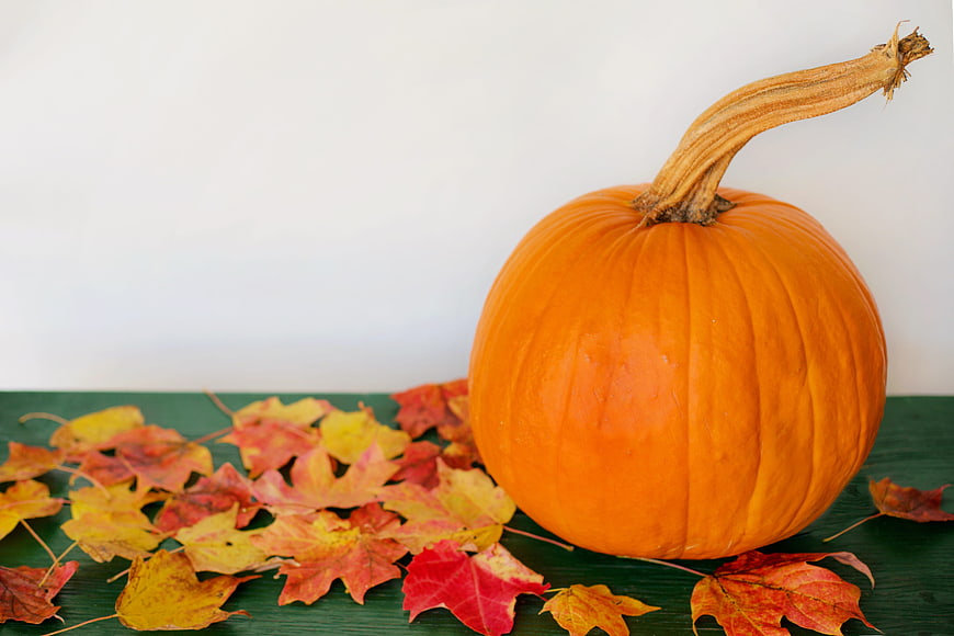 Orange pumpkin with autumn leaves on green surface