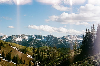 Scenic Mountain Landscape with Snow-Capped Peaks and Pine Forest