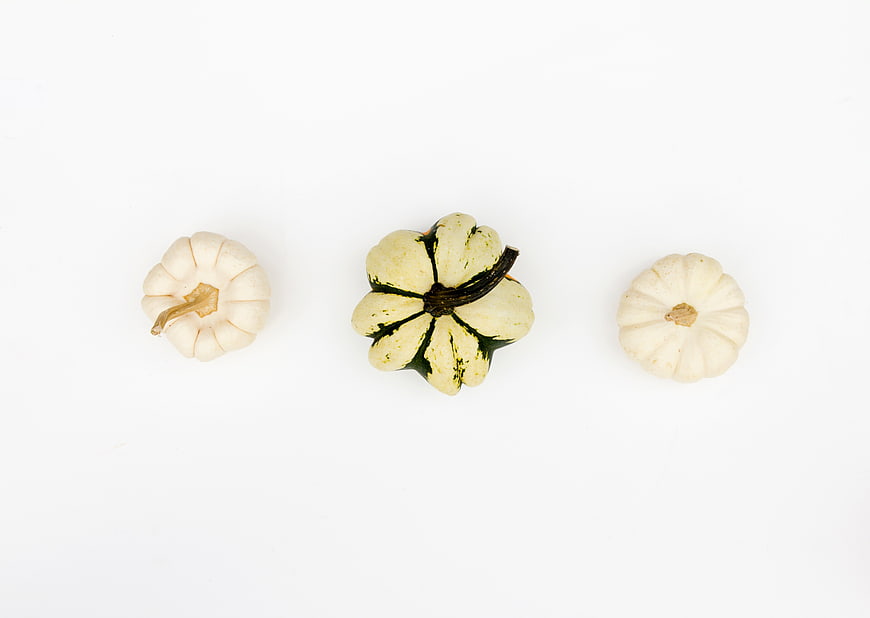 Top View of Three White Pumpkins on White Background