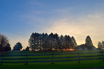 Sunset over rural landscape with pine trees and wooden fence