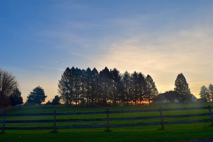 Sunset over rural landscape with pine trees and wooden fence