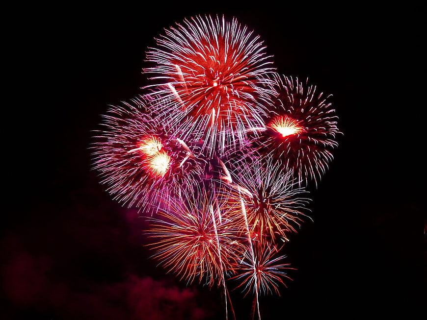 Vibrant red and white fireworks exploding in the night sky
