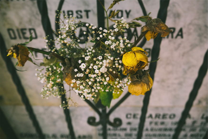 Withered yellow roses and baby's breath on a cemetery gate