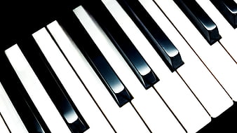Close-up of black and white piano keys