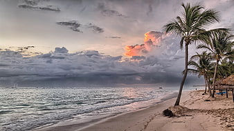 Dramatic Sunset Over Tropical Beach with Palm Trees
