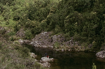 Two people fishing in a secluded river surrounded by lush forest