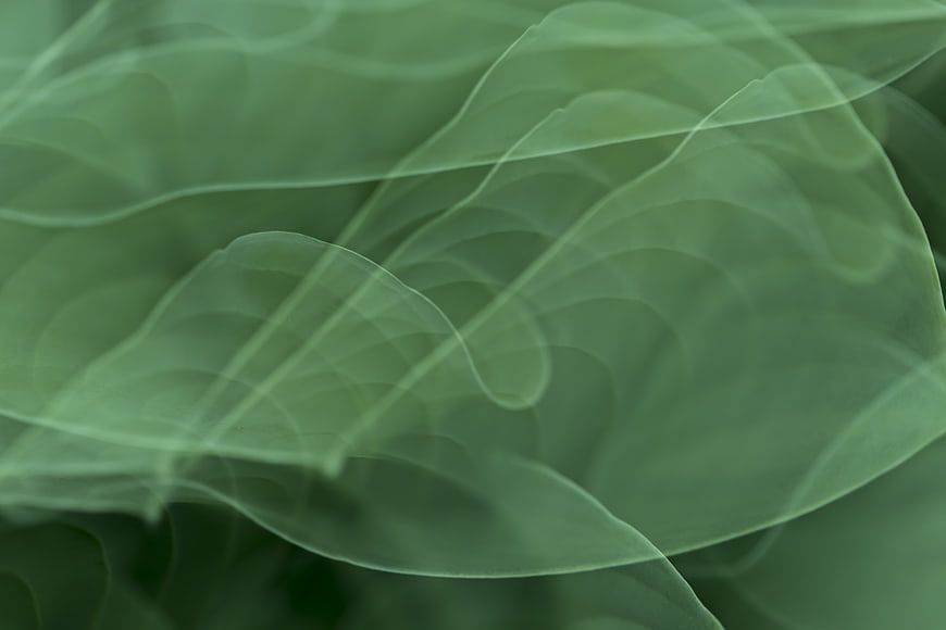 Abstract Green Smoke Waves Background