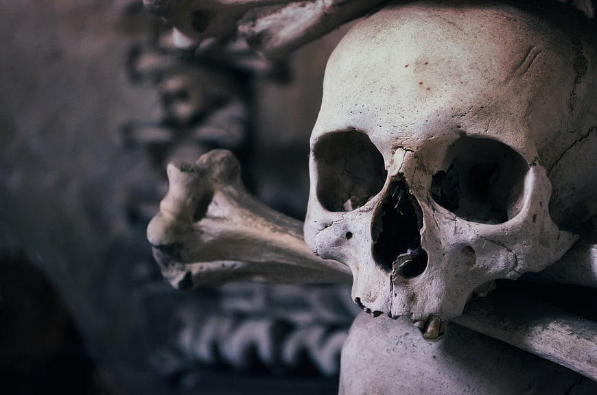 Close-up of weathered human skull and bones in ossuary