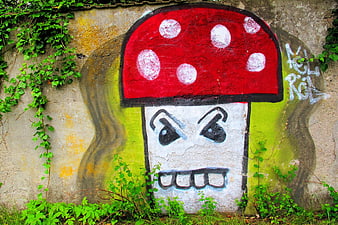 Red mushroom graffiti art on concrete wall with ivy