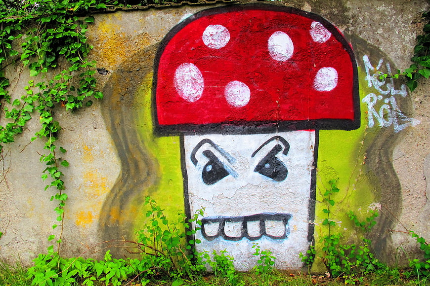 Red mushroom graffiti art on concrete wall with ivy