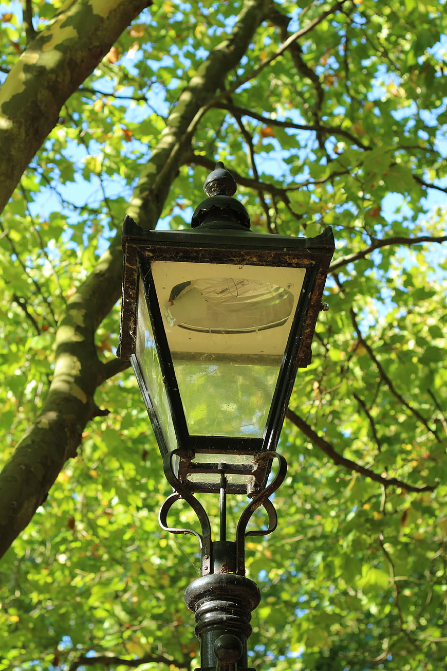 Vintage black street lamp against green tree leaves