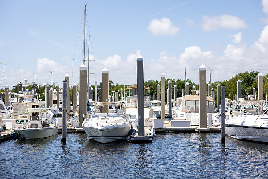 White boats docked at marina on sunny day