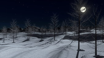 Serene Winter Night Landscape with Snowy Trees and Moon