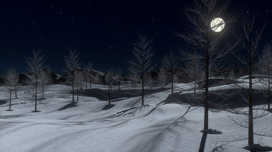 Serene Winter Night Landscape with Snowy Trees and Moon