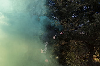 Person holding green smoke grenade in forest