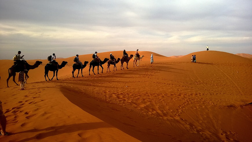 Camel caravan trekking across orange sand dunes