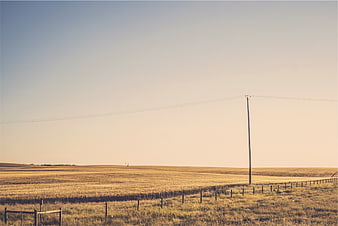 Golden Rural Landscape with Fence and Power Lines