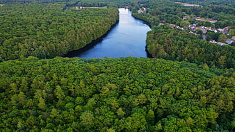 Aerial View of Serene River Winding Through Lush Green Forest