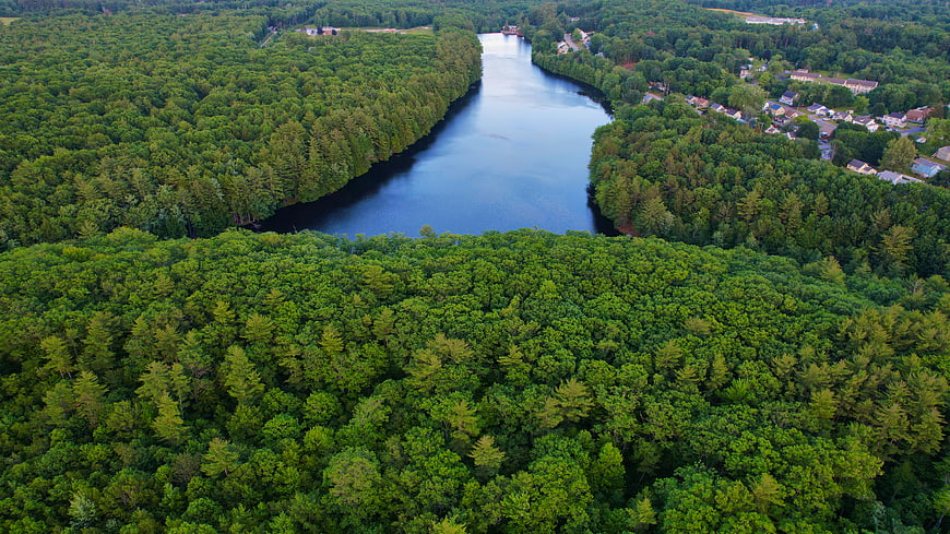 Aerial View of Serene River Winding Through Lush Green Forest