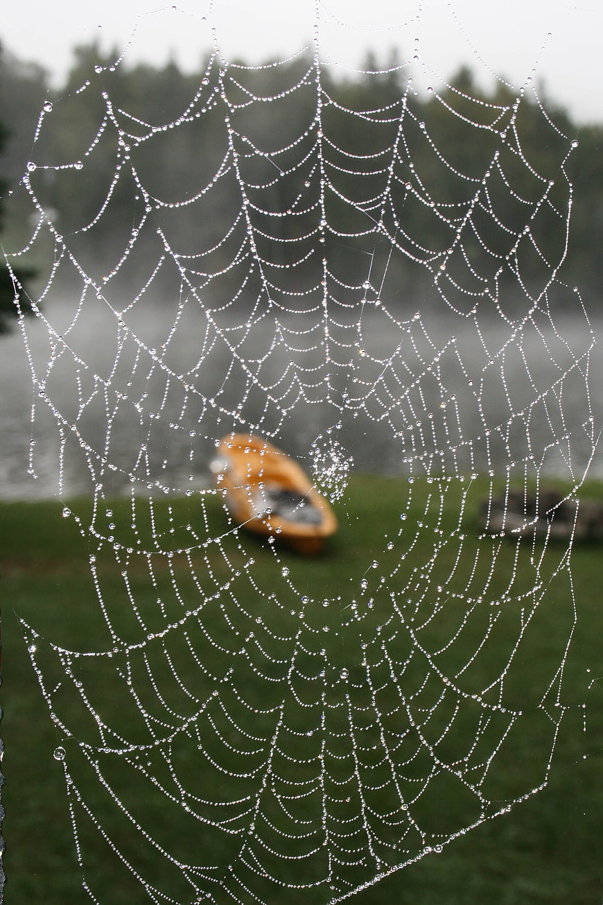 Spider Web with Dew Drops and Blurred Kayak Background