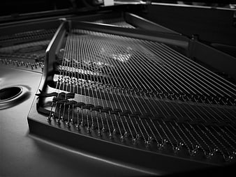 Close-up of Grand Piano Strings and Hammers in Black and White
