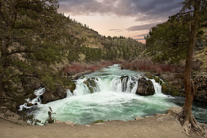 Wide Waterfall in Rocky Canyon with Pine Trees