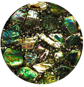 Iridescent Abalone Shell Fragments Closeup