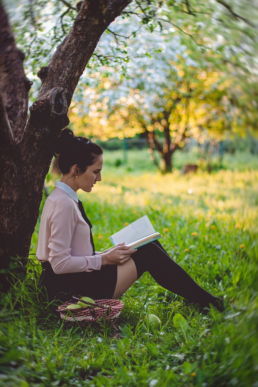 Woman Reading Book Under Tree in Green Orchard