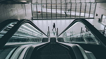 Symmetrical View of Escalators in Modern Building