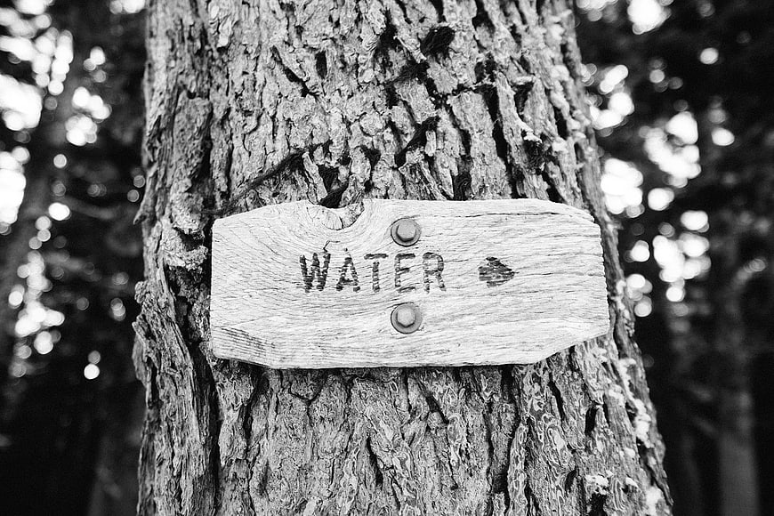 Rustic wooden water sign on tree trunk in black and white