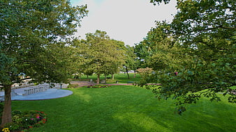Lush Green Park with Trees and Stone Amphitheater