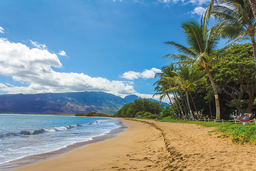 Tropical beach landscape with palm trees and mountains