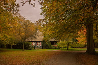 Rustic Thatched Cottage in Autumn Forest Landscape