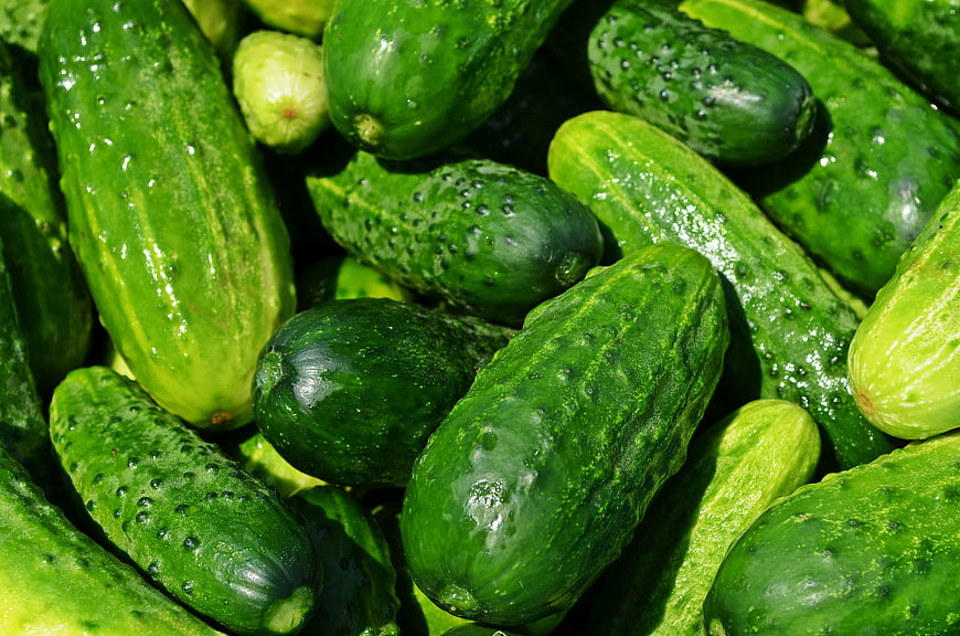 Fresh Green Cucumbers with Water Droplets Close Up