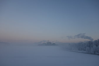 Foggy Winter Morning with Smoke Rising from Snowy Trees