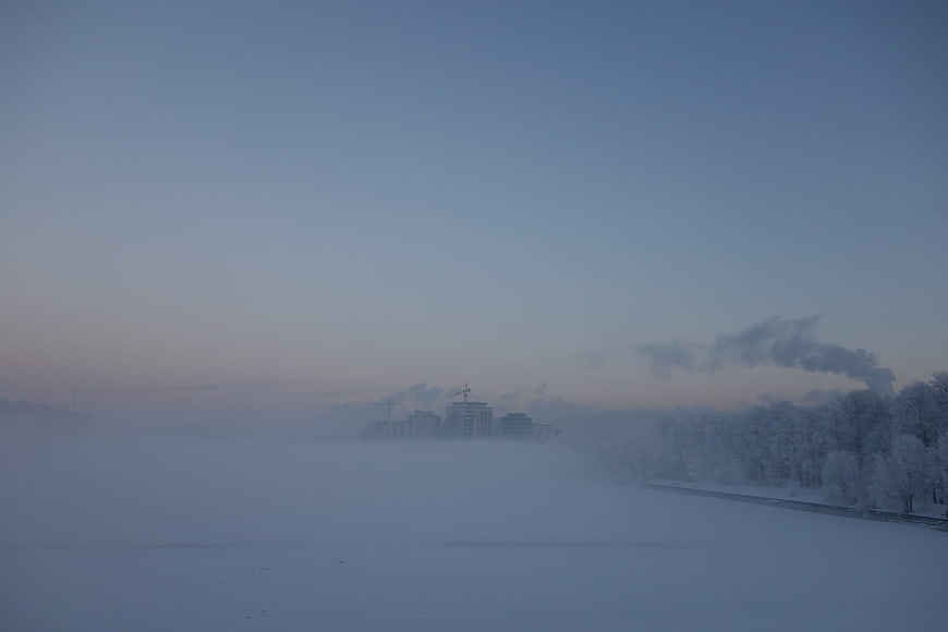 Foggy Winter Morning with Smoke Rising from Snowy Trees