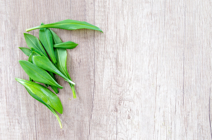 Fresh Wild Garlic Leaves on Light Wooden Background