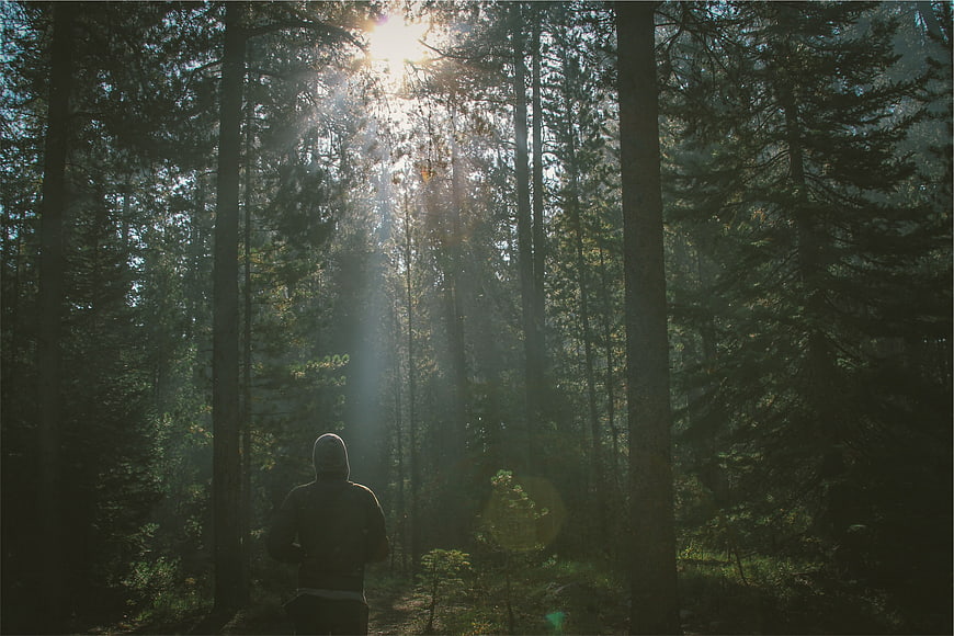 Man Walking in Forest with Sunbeams