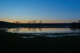 Serene Lake Reflection at Dusk with Silhouetted Trees