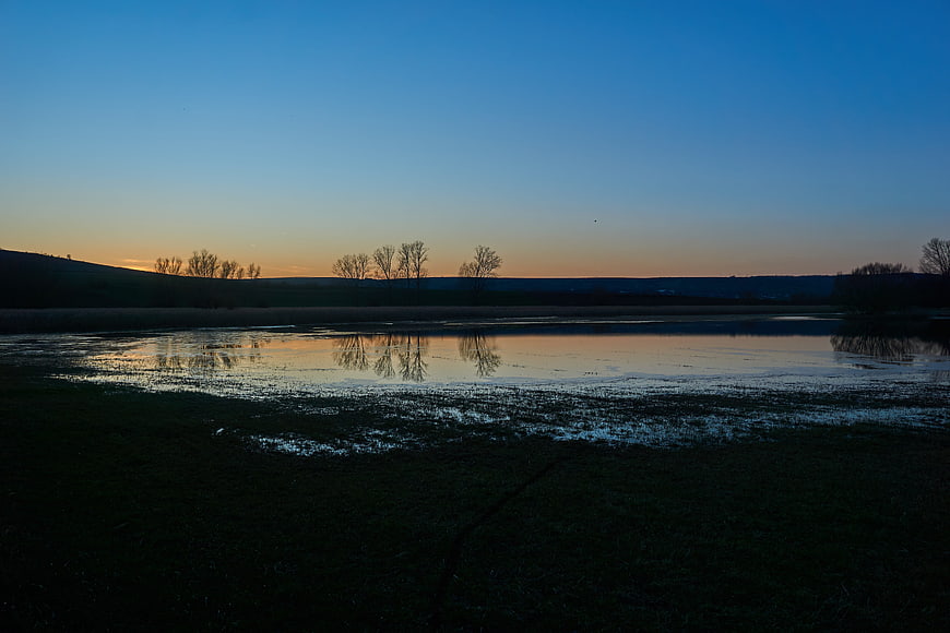 Serene Lake Reflection at Dusk with Silhouetted Trees