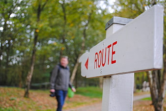 White Route Signpost in Autumn Forest with Blurred Hiker