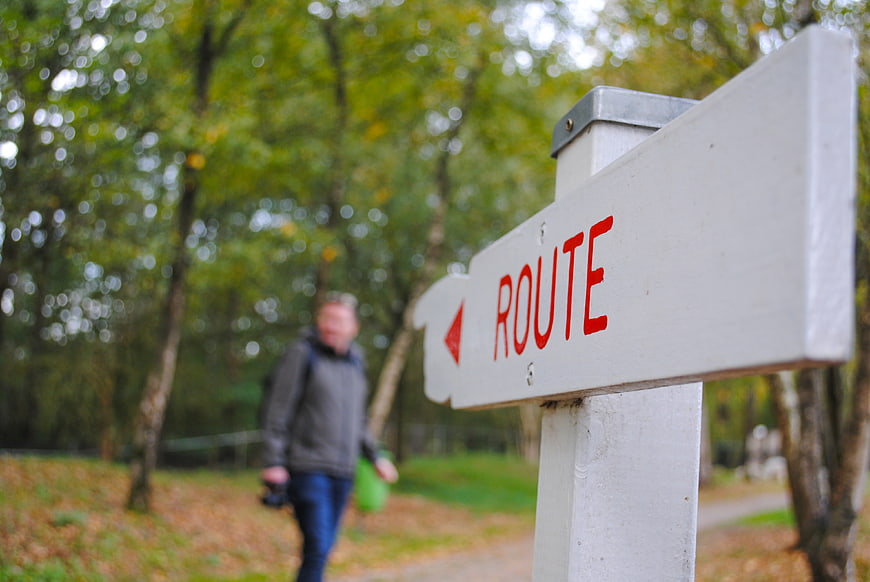 White Route Signpost in Autumn Forest with Blurred Hiker